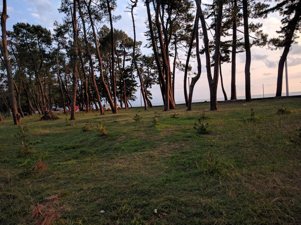 Kobuleti Pines Resort 외부 사진